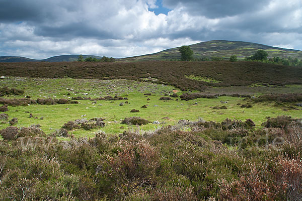 Schottland (Scotland)