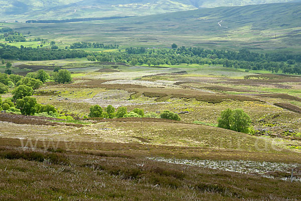 Schottland (Scotland)