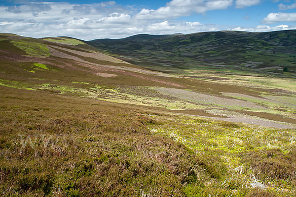 Schottland (Scotland)