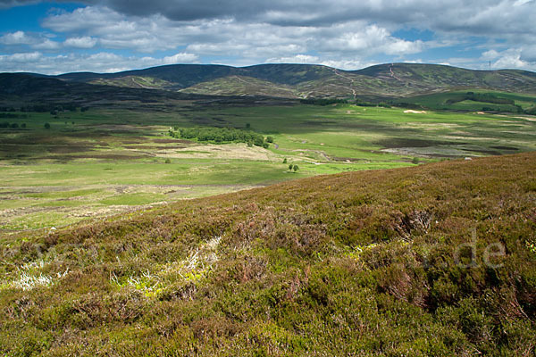 Schottland (Scotland)