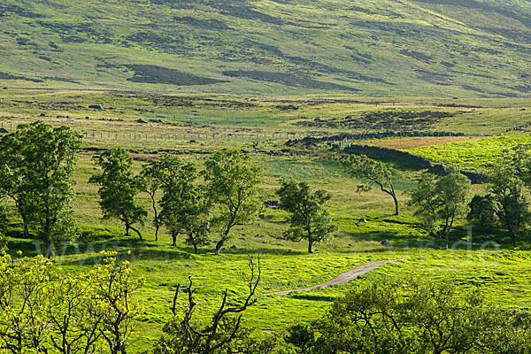 Schottland (Scotland)