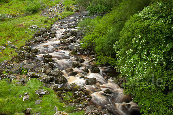 Schottland (Scotland)