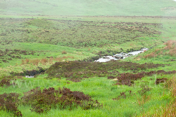 Schottland (Scotland)