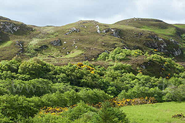 Schottland (Scotland)