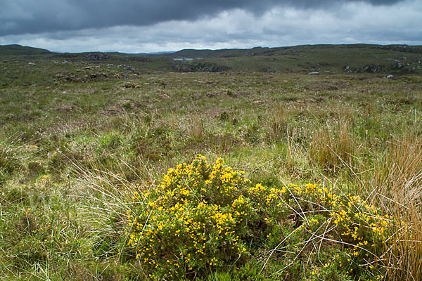 Schottland (Scotland)