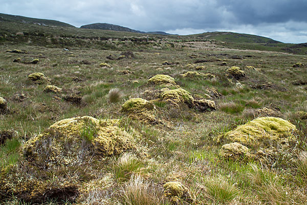 Schottland (Scotland)