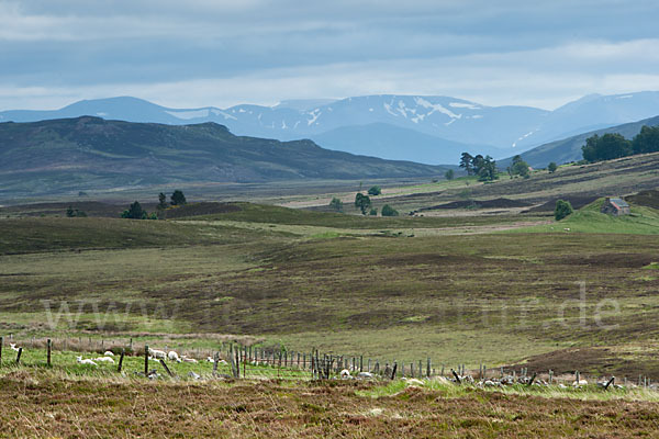 Schottland (Scotland)