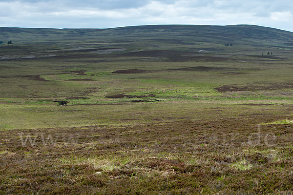 Schottland (Scotland)