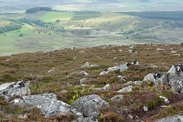 Schottland (Scotland)