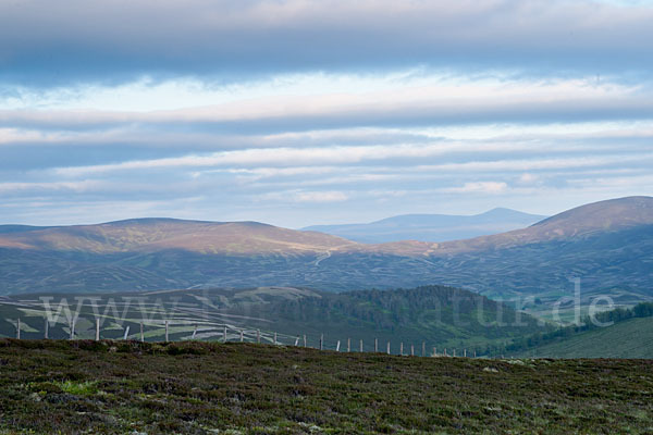 Schottland (Scotland)