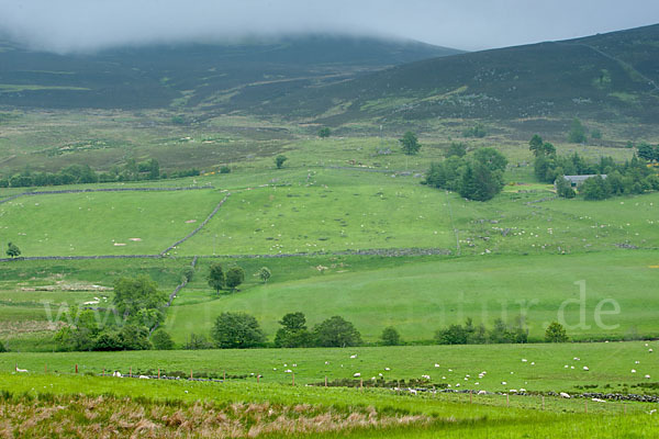 Schottland (Scotland)