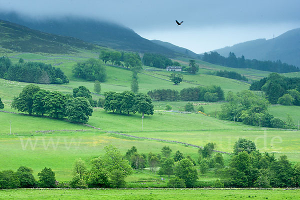 Schottland (Scotland)