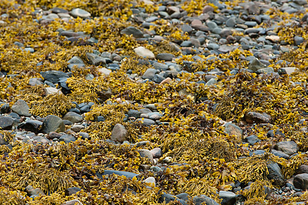Schottland (Scotland)
