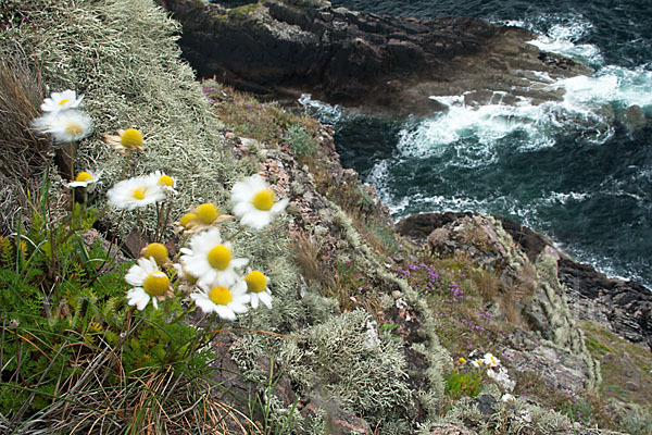 Schottland (Scotland)