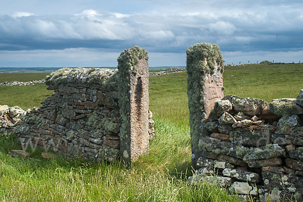 Schottland (Scotland)