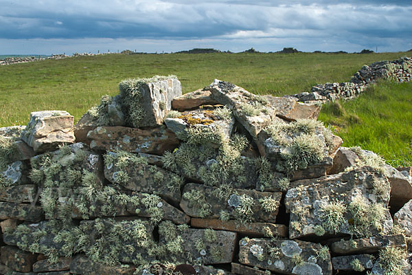 Schottland (Scotland)