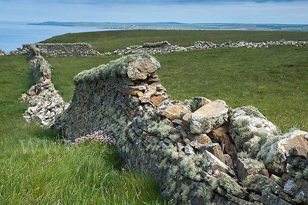 Schottland (Scotland)