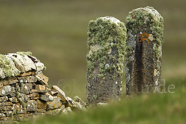 Schottland (Scotland)