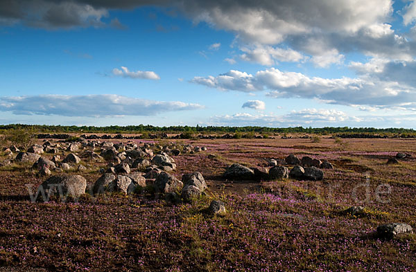 Schweden (Sweden)