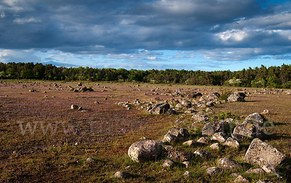 Schweden (Sweden)