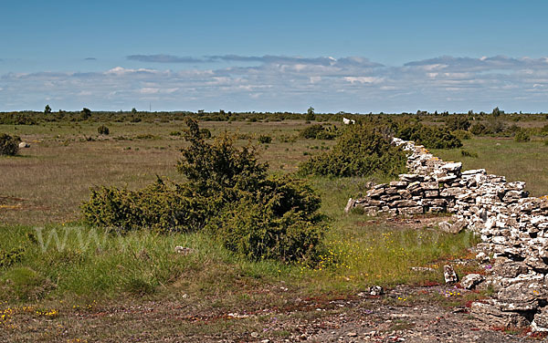 Schweden (Sweden)