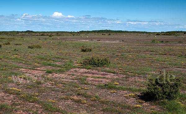 Schweden (Sweden)