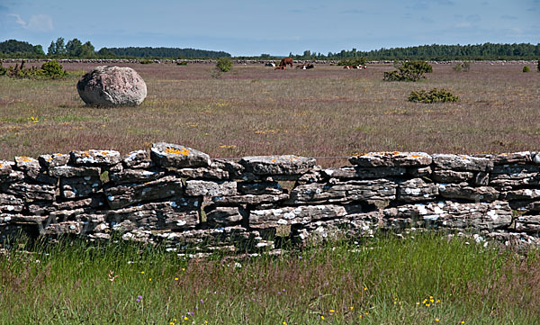 Schweden (Sweden)