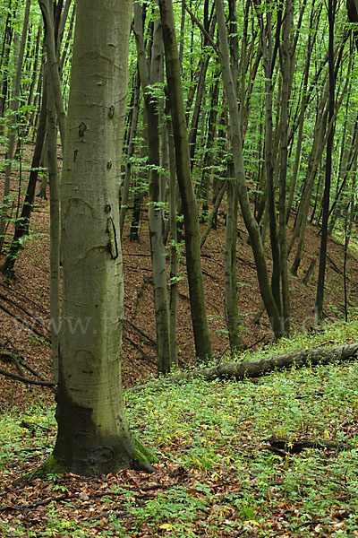 Slowakei (Slovakia)