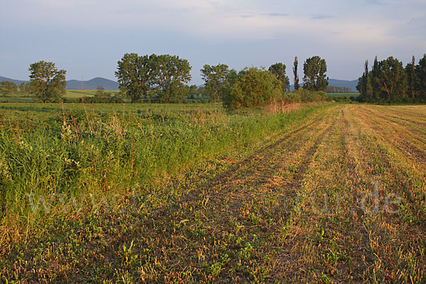 Slowakei (Slovakia)