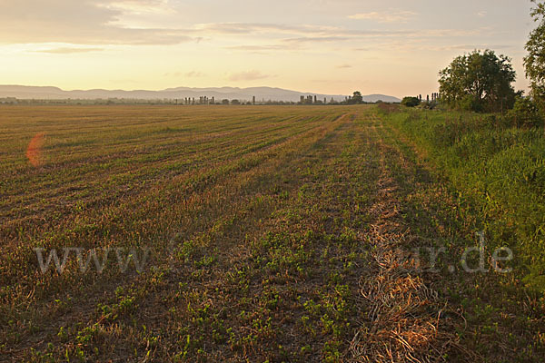 Slowakei (Slovakia)