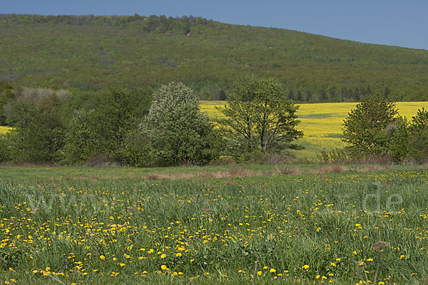 Slowakei (Slovakia)