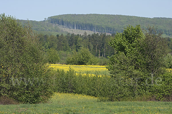 Slowakei (Slovakia)