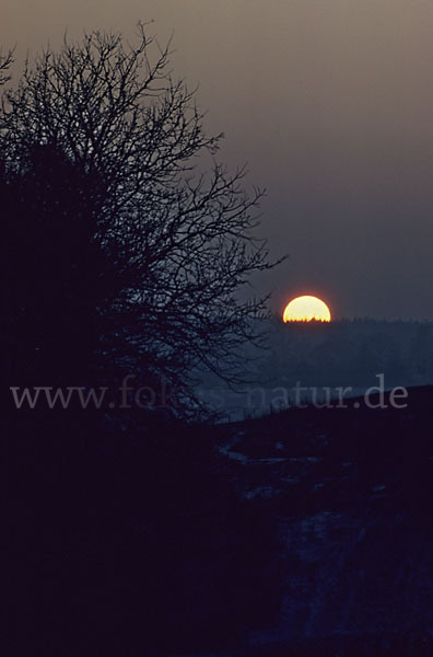 Sonnenuntergang (sunset)