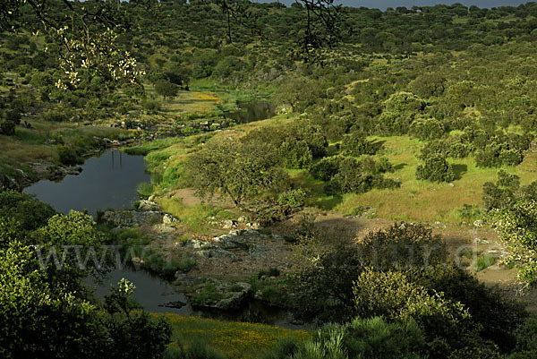 Spanien (Spain)