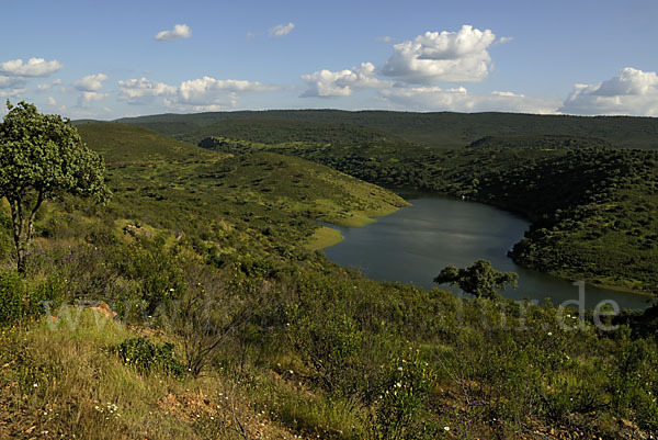 Spanien (Spain)