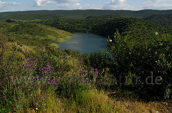 Spanien (Spain)