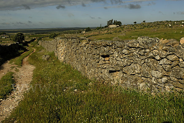 Spanien (Spain)