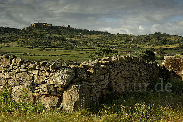 Spanien (Spain)