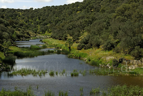 Spanien (Spain)