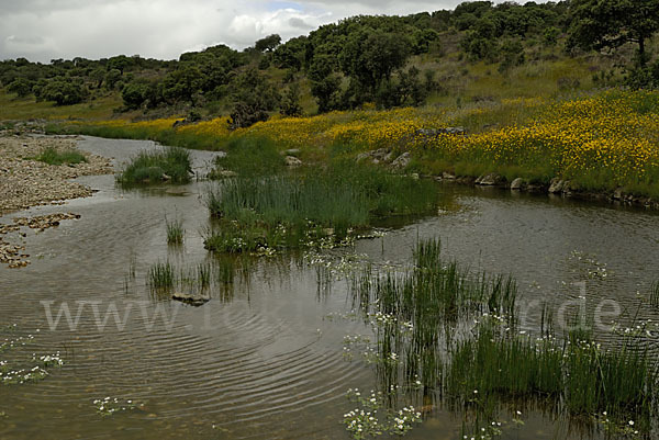 Spanien (Spain)