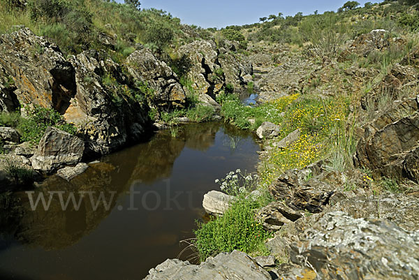 Spanien (Spain)