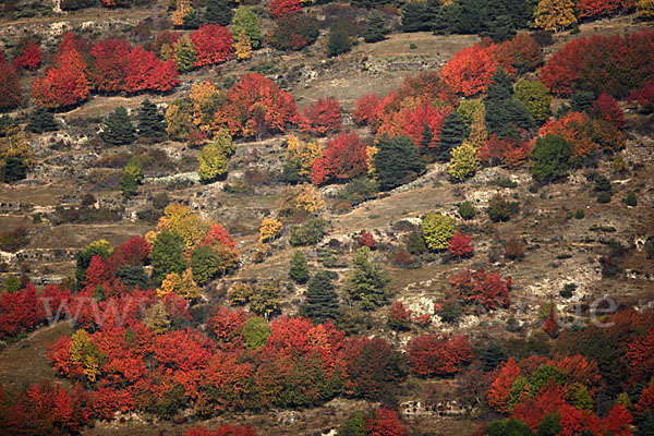 Spanien (Spain)