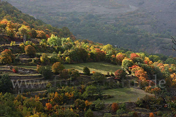 Spanien (Spain)