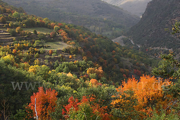 Spanien (Spain)