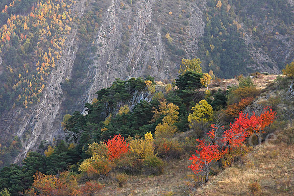 Spanien (Spain)