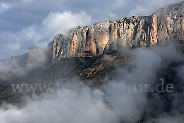 Spanien (Spain)