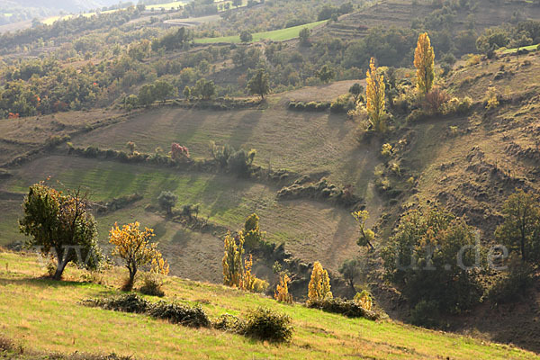 Spanien (Spain)