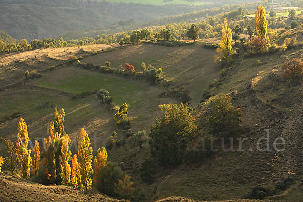 Spanien (Spain)