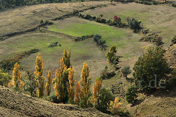 Spanien (Spain)