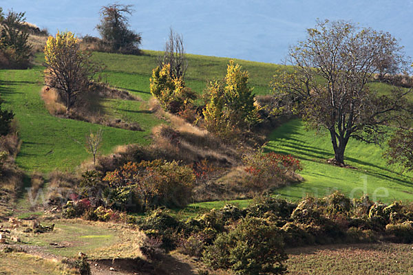 Spanien (Spain)